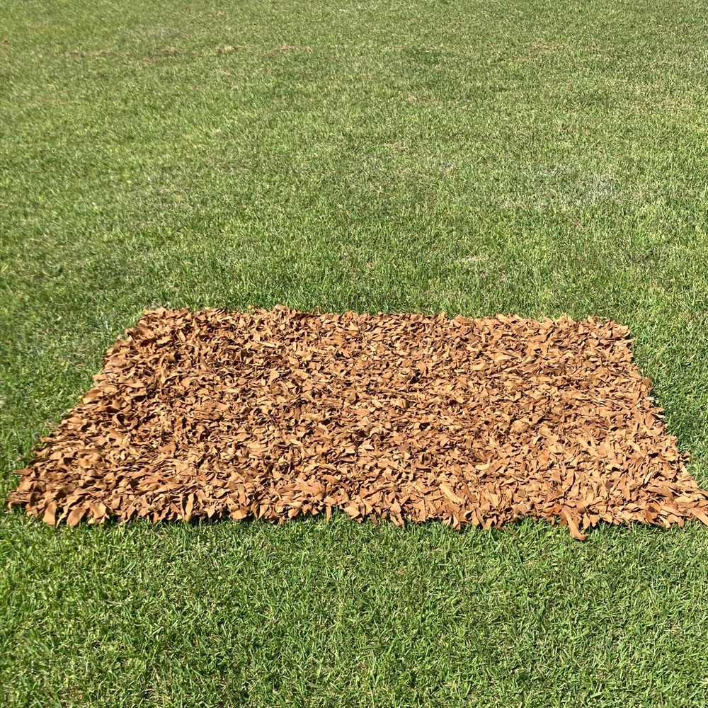 ‼️SOLD‼️ Shag Leather Rug
